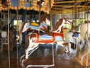 Row of Jumping Parker Horses